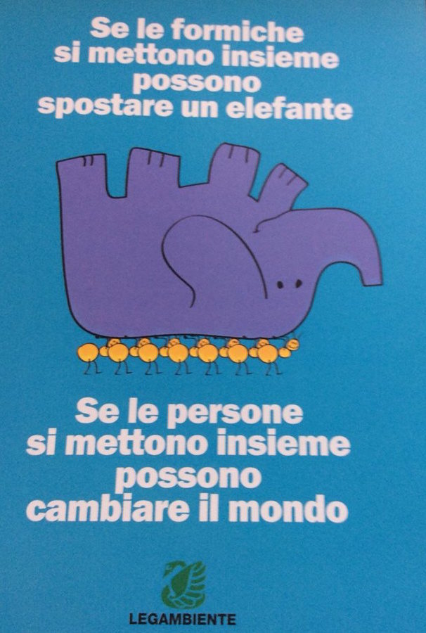 11017826_10204996603972722_7025585546444403983_n