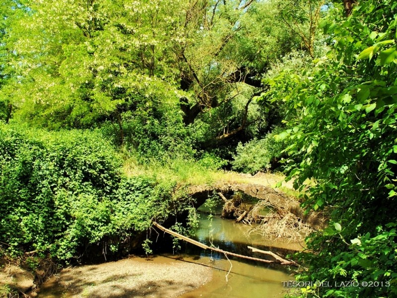 paliano_(fr)_-_ponte_de_piscoli_sul_fiume__sacco_-_foto_di_g._garofoli_(05-2013)