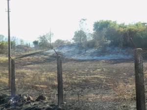 11164663_10205891062547752_2356027633512015086_o