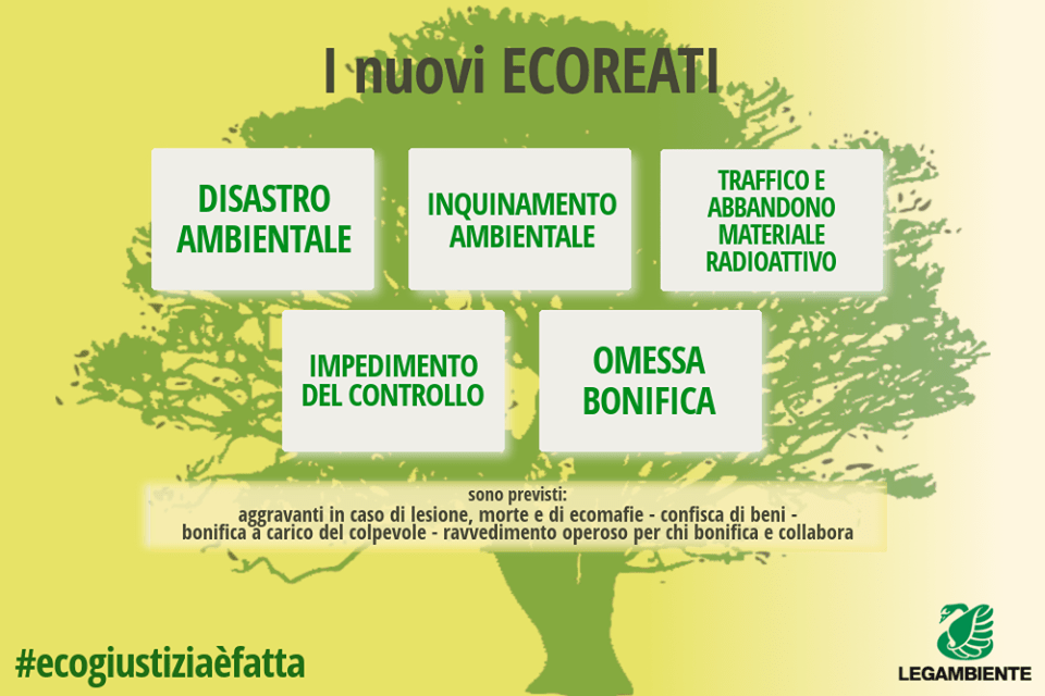 11263043_951963411502434_4262056810422908738_n